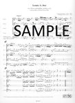 Sonata in G (Besozzi and Tartini)