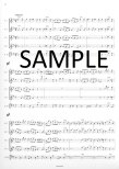Sonata in G (Besozzi and Tartini)