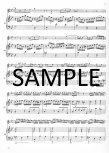 Sonata in g (BWV1020)