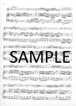 Sonata in g (BWV1020)
