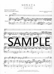 Sonata in g (BWV1020)