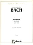 Sonata in g (BWV1020)