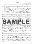 Sonata in G Major