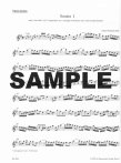 Sonatas (B01) Not the Standard Bach Sonatas! (v.1)