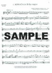 Sonatas (E10) (v.2) (Bb,d,D,a,e,b) (ed.Salter)