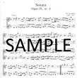 Sonatas for Two Flutes (score form)