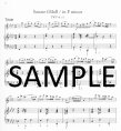 Sonatas, Four