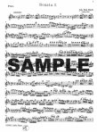 Sonatas (P14) (V.1) (BWV1030-32) (b,Eb,A)