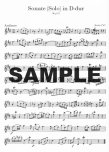 Sonatas (v.2) (a,D)