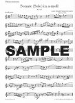 Sonatas (v.2) (a,D)