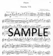 Sonatas (vol 2) (C,F,b,a)