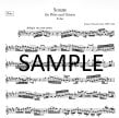 Sonate in E (BWV1035)