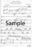 Sonate in Eb Op113