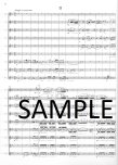 Sonatina in G Op20#2