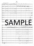 Sonatina in G Op20#2