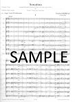 Sonatina in G Op20#2