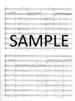 Sonatina in G Op20#2