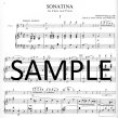 Sonatina Op100(ed.Galway)