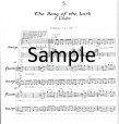 Song of the Lark