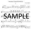 Sonority Canon  (parts only)
