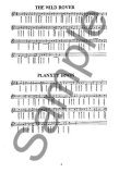 Soodlum's Irish Tin Whistle Tutor - Irish Music & Ballads (vol 2)