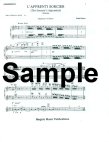 Sorcerer's Apprentice (1st & 2nd Flute Part)