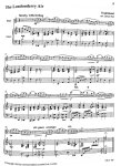 Sounds Irish sample by Flute World