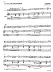 Sounds Irish sample2 by Flute World