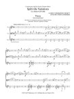 Spillville Variations on a Theme by Dvorak
