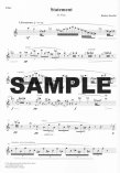 Statement, Reflection and Conclusion for flute solo