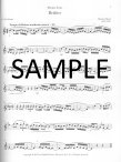 Stellar Solos for Alto Flute