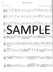 Stellar Solos for Alto Flute