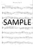 Stellar Solos for Alto Flute