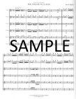 Stouffville Rag, The