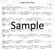 Strabenmusik a 2 (Strassenmusik) (bk1) (score form)