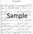 Strabenmusik a 2 (Strassenmusik) (bk2) (score form)