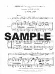Suite in b (BWV1067) 3 Movements