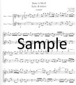 Suite in b (ed.Geller) (2 scores)