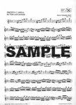 Suite in c (BWV997) (Partita in c)