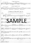 Suzuki Flute School 1 (International Edition) (book & CD)