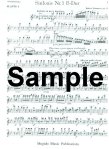Symphony #1 in Bb Op38 (1st Flute Part)
