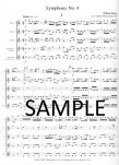 Symphony #4
