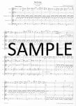 Symphony # 40 in G (K550)(sc&pts)