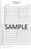 Symphony #5 Op79