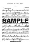 Symphony #7 in E Major (1st flute part)