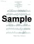 Symphony #8 (#4) in G Op88 (1st Flute Part)