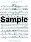 Symphony #9 (#5) in e Op95 (1st Flute Part)