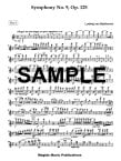 Symphony #9 Op125 (1st flute part)