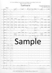 Tambourin for Solo Flute and Concert Band