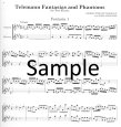 Telemann Fantasias and Phantoms (score form)